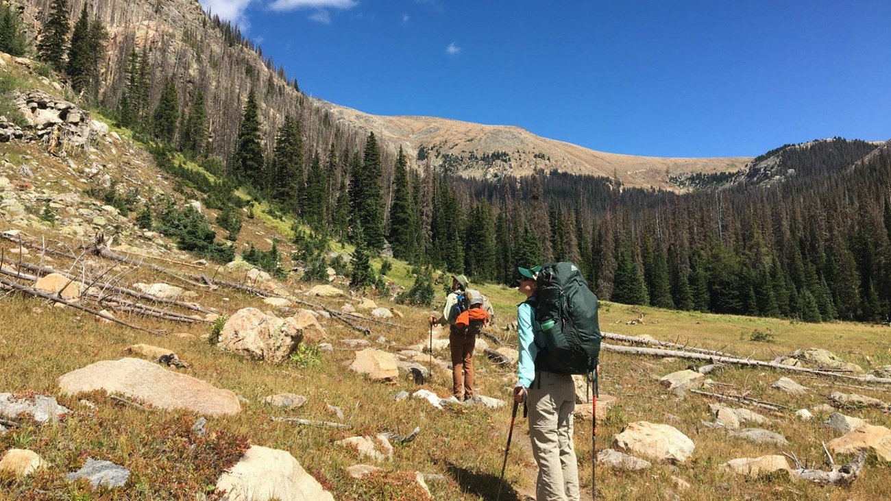 Two people are hiking on a trail in summer